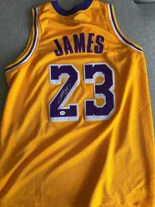 Lebron James Los Angeles Lakers Signed Autographed Basketball Jersey #23 w/ COA