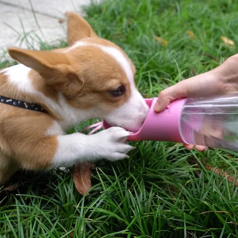 Leak Proof Pet Travel Water Bottle with Bowl 520ml