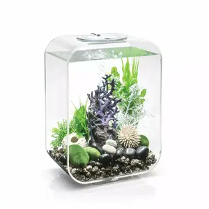biOrb LIFE 15 Aquarium with MCR Light  4 gallon