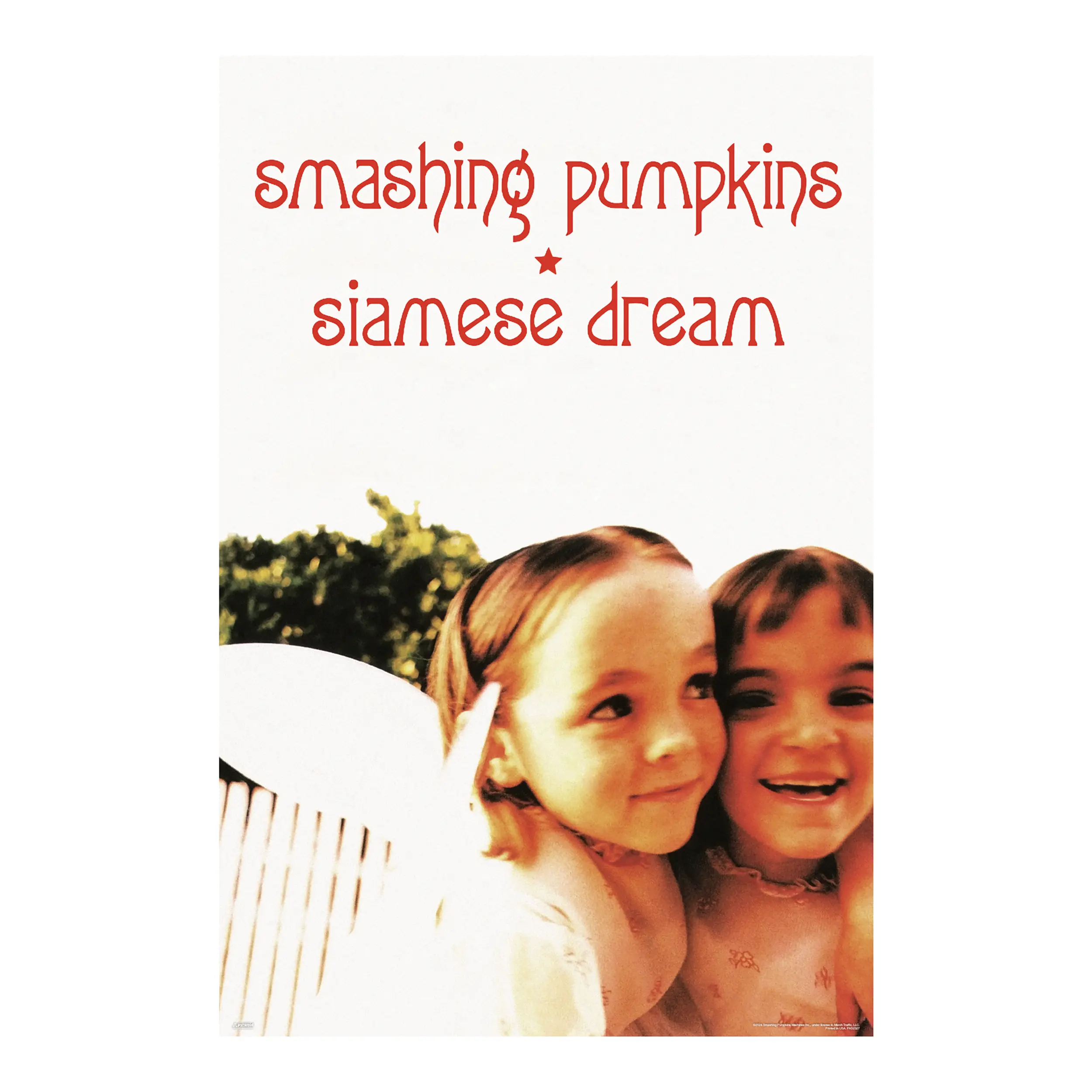 Smashing Pumpkins - Siamese Dream - 24x36 Unframed Poster