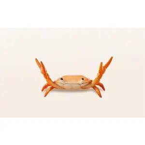 Creative Crab Pen Holder Weightlifting Crabs Pen Stand Storage Rack, Office Desktop Decoration, Pencil Holders Desk Supplies Holders and Dispensers, Desk Accessories and Workspace Organizers (Orange)