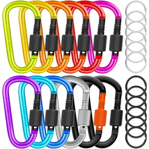 Locking Carabiner D Ring Clips with Flat Key Ring