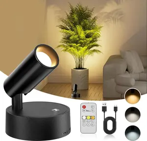 Rechargeable LED Spotlight with Remote, 3 Color Dimmable Picture Light, Magnetic Accent Light for Wall Art, Display Shelf, Cabinet, Black outdoorfun Lamp Wireless USB