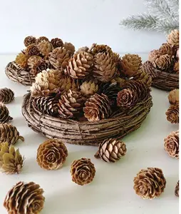 10pcs Random Artificial Pinecones & Pine Needles Craft Supplies For Decoration Or Photo Prop Best Gifts