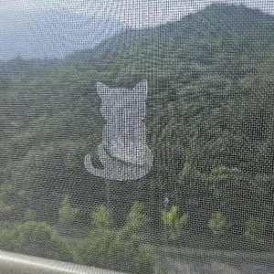 Animal Shaped Door & Window Screen Repair Patch, Waterproof & Mosquito Resistant Tape for Covering, Repair Patch for Home Decoration