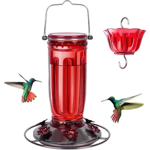 Glass Hummingbird Feeder for Outdoors  Bird Feeder with 6 Feeding Ports Hanging for Garden Yard, Red (Ant Moat Included)
