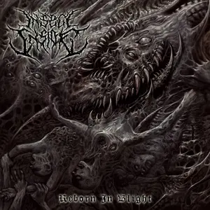 Insect Inside - Reborn In Blight (Cassette)