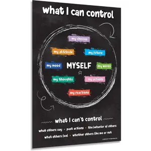 Things I Can Control Poster Mental Health and Growth Mindset Tool for Teens SEL Wall Art for Classrooms Counseling and Therapy Laminated 12"x18"