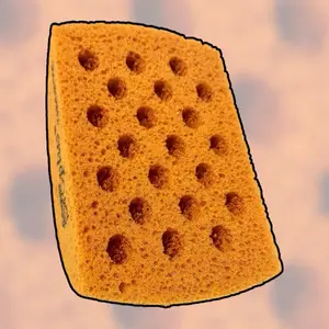 Armaly Pro Plus Pine Custom Sponge for ASMR Uses - Large Clamshell Design - Made in USA