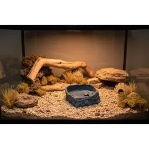 Drinking/feeding Bowl