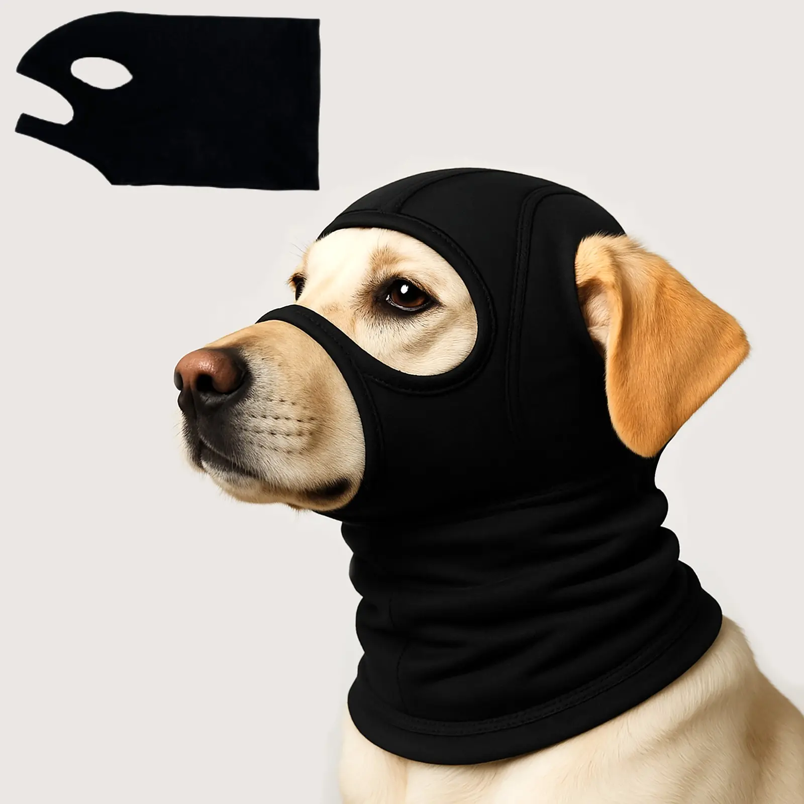 Trendy Pet Headband Hat, Unique Funny Dog Headgear, Stylish Accessory for Pets, Perfect for Fun Outings, Halloween Costume