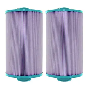 Hurricane Filters HF4H21 Platinum Purple Spa Filter Cartridge Replacement, 2 Pck