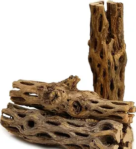 Aquatics 3 Pieces 5-6" Long Natural Cholla Wood for Aquarium Decoration