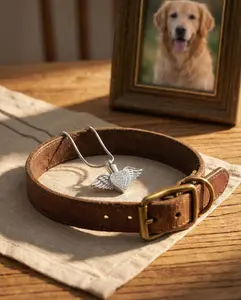 Angel Wing Heart Urn Necklace for Ashes - Stainless Steel Pet Memorial Jewelry for Dog Cat Hair - Waterproof Crystal Cremation Pendant Keepsake Sympathy Gift for Women (Silver)