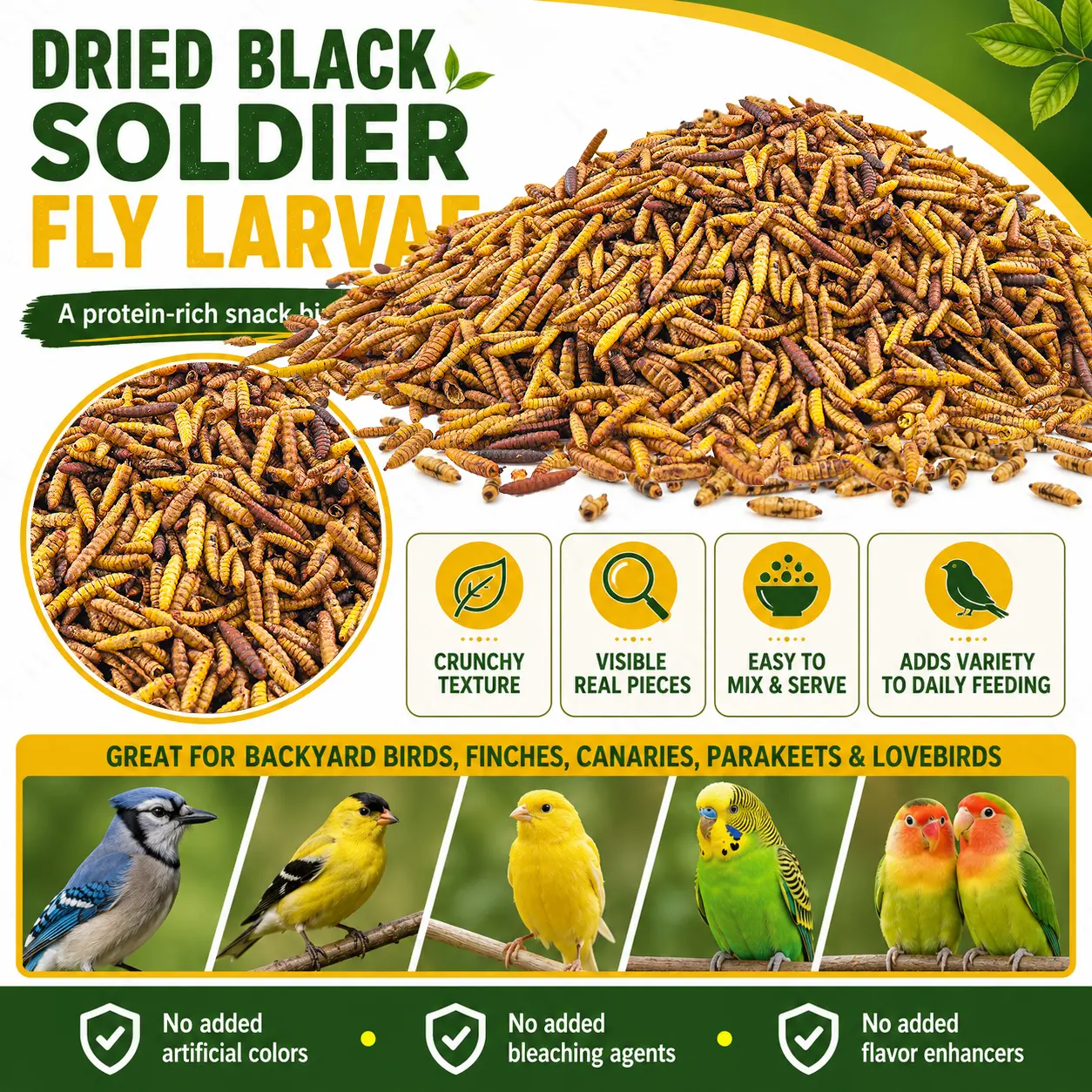 Dried Black Soldier Fly Larvae for Chickens, High Protein Poultry Feed for Laying Hens, Ducks and Chicks, Calcium Rich Insect Treat for Strong Eggshell Support and Feather Growth, Nutritious Backyard Flock Snack for Daily Feeding