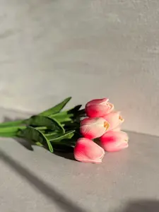 Bright Pink Tulip Bundle