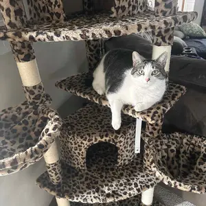 HOOMIC 73-Inch Fan-Shaped Corner Cat Tree, Space-Saving Multi-Level Tower with Cozy Condos, Perches, Baskets & Sisal Scratching Posts – Indoor Cat Activity Center