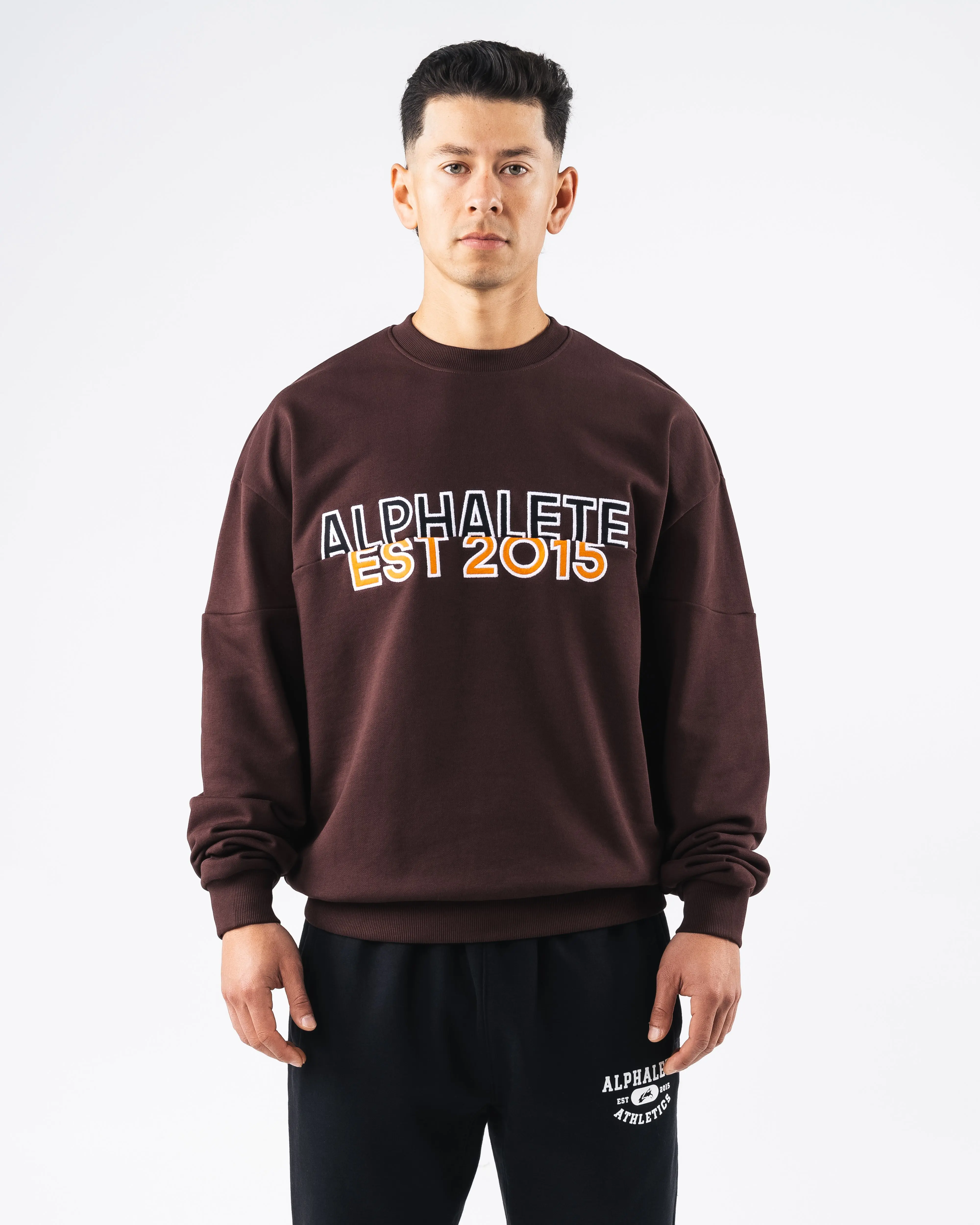 Alphalete Men's Establishment Split Crewneck Sweatshirt - Deep Mauve, Oversized Fit, Cotton Blend, Crew Neck, Fleece Pullover, Gym Streetwear Top