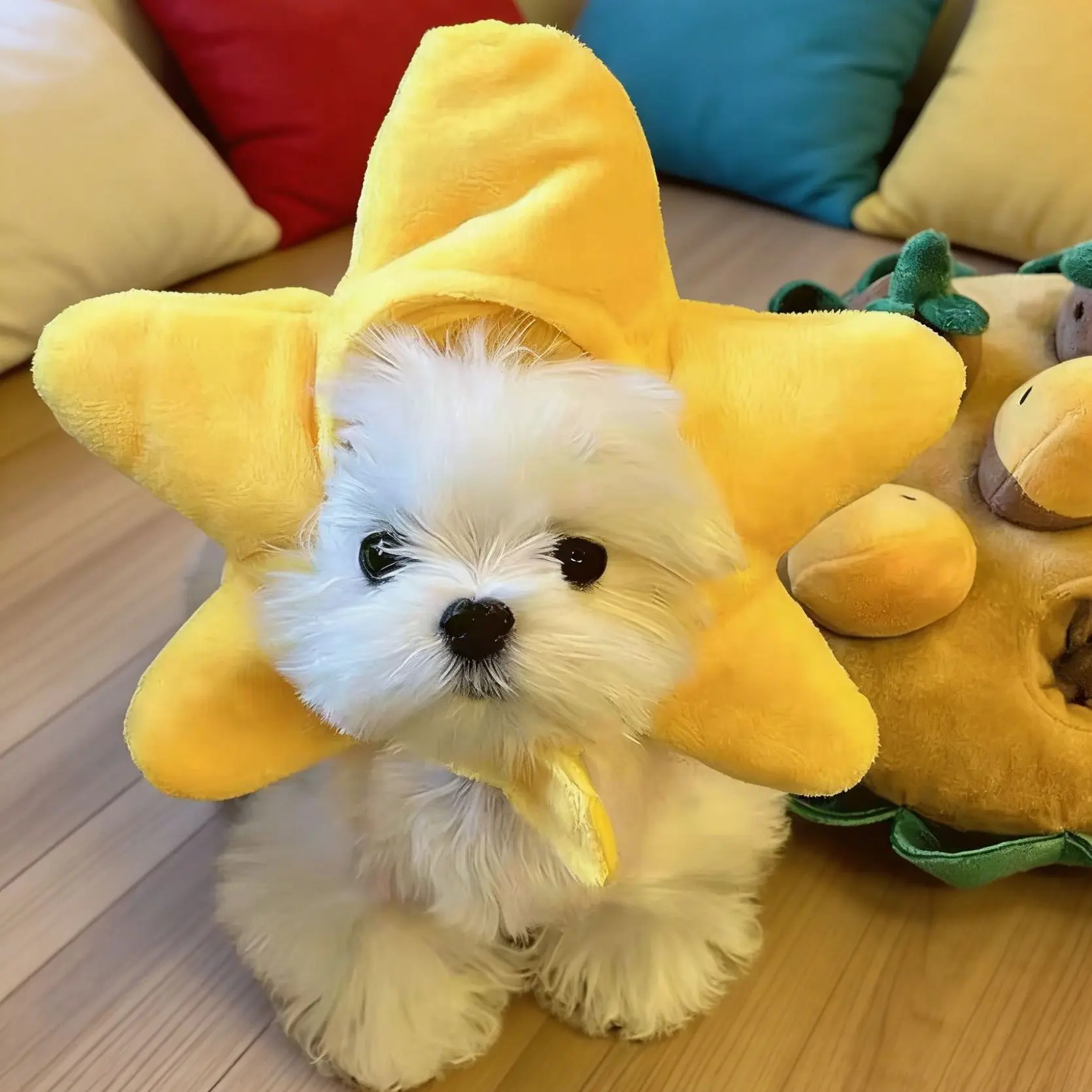 Pet Starfish Hat