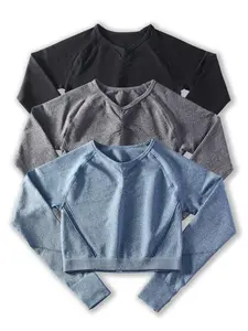 Women's Solid Raglan Sleeve Crop Sports Tee, Sporty Breathable Comfortable Round Neck Long Sleeve T-shirt for Yoga Gym Workout, Ladies Sportswear for Spring & Fall, Athletic Yoga Tops