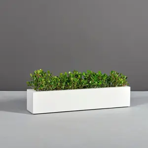 Salon Narrow Low Rectangular Planters