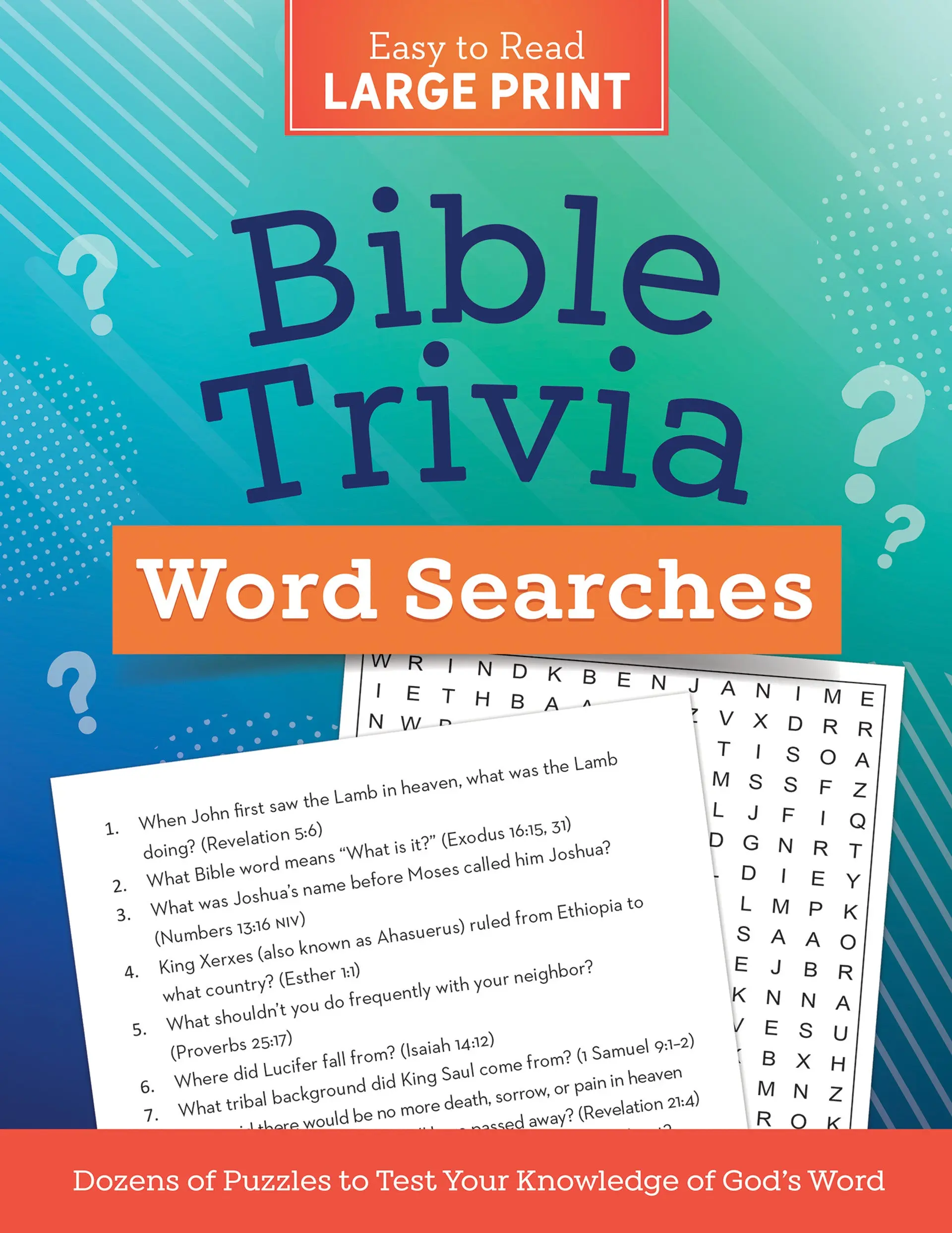 Large Print Bible Trivia Word Search Puzzles, Bible Clues, Easy to Read Home Decor Poster