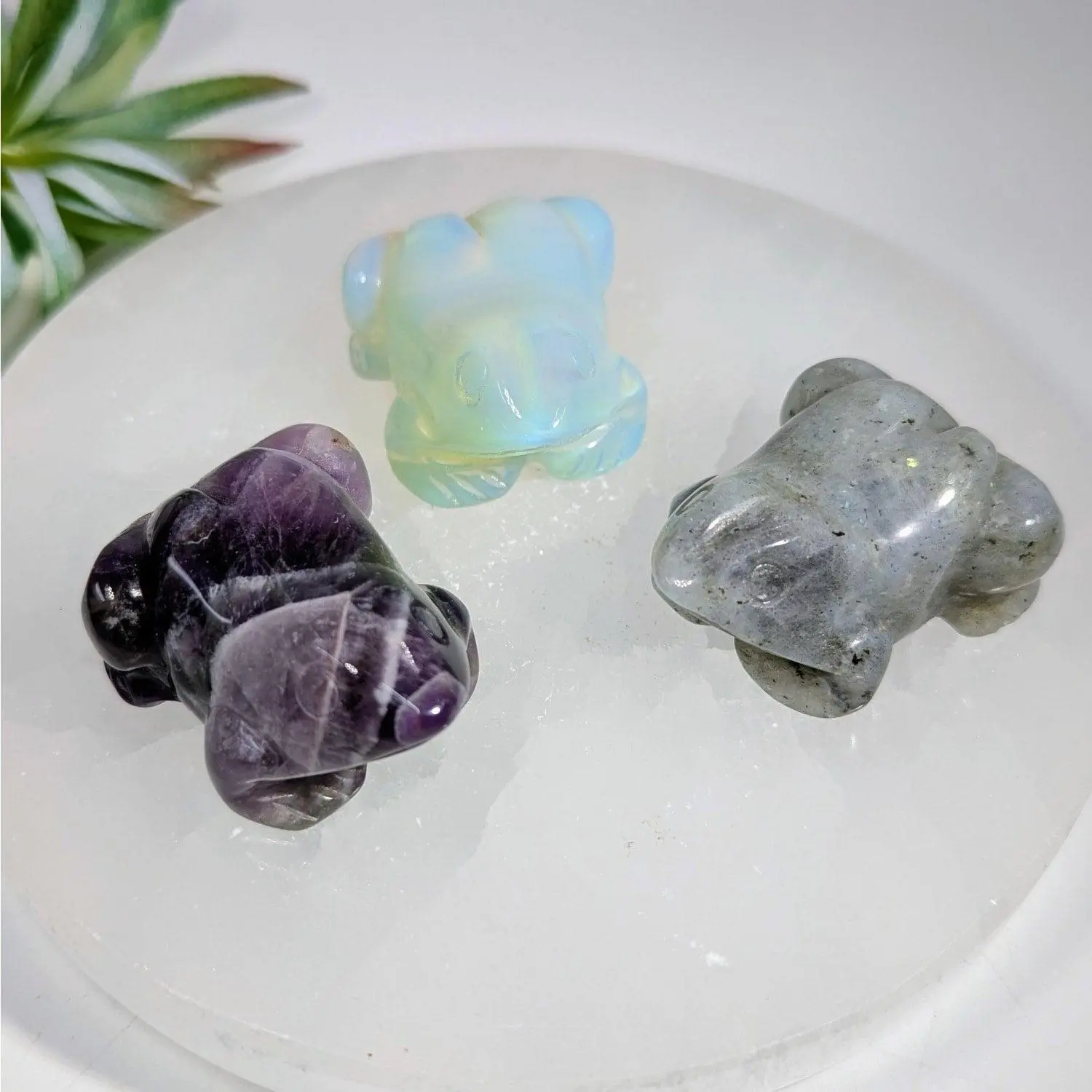 Assorted Crystal Frog Carving