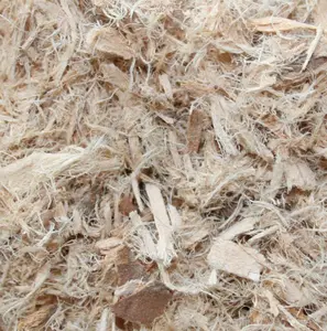 Slippery elm bark Healthcare Therapeutic
