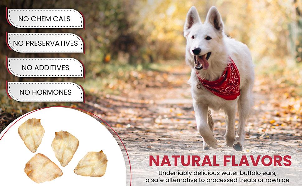 Fang & Claw Water Buffalo Ears for Dogs 5-Inch Whole Ears 50-Pack Long-Lasting Natural Dog Chews High Protein Grain-Free Dental Health Support Grass-Fed from India