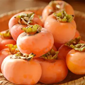 American Persimmon - Diospyros Virginiana Seeds Tasty Sweet Organic Non-GMO Heirloom Fruit Seeds Grow Your Own Delicious Fruit Plant