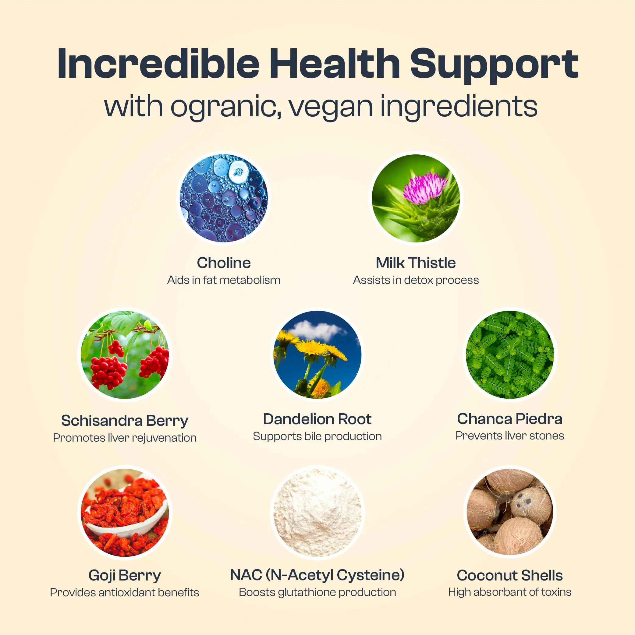 My Vida Origins Detox Bundle Liver Detox + Activated Charcoal Supports Natural Detoxification, Digestive Health, Bloating Relief & Liver Function Vegan, Non-GMO 2 Month Supply - TikTok Shop My Vida Origins Detox Bundle Liver Detox + Activated Charcoal Supports Natural Detoxification, Digestive Health, Bloating Relief & Liver Function Vegan, Non-GMO 2 Month Supply - TikTok Shop