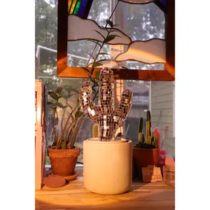 Mini Disco Cactus