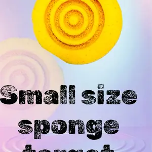 Small  sponges  for diy purpose