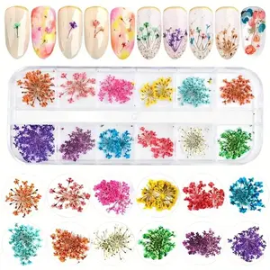3d Floral Design Nail Art Decoration, 24pcs/set 12 Color Nail Art Charm Material, DIY Materials for Nail Art Decoration & Jewelry Making