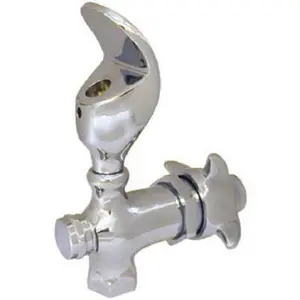 Homewerks 3310-150-CH-B-Z 0.5 in. Female Pipe Thread Drinking Water Bubbler