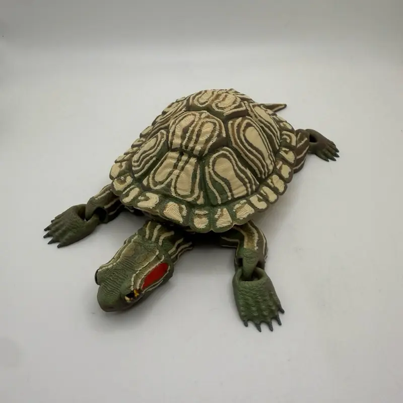 Red-Eared Slider Turtle – Articulated 3D Printed Flexi Turtle