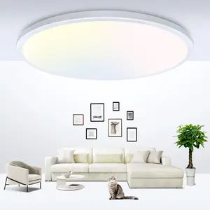 Modern Minimalist LED  Ceiling Light Flush Mount, Super Slim & Low Profile Light Fixture, 3 Color Temperature in One 3000k/4500k/6000K Round Light Fixture for Bedroom, Kitchen, Dining Room