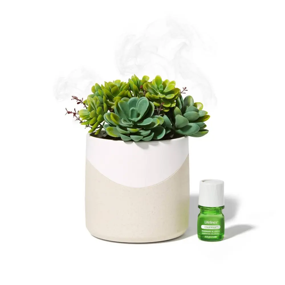 Lifelines Diffuser w/ ClickWick Essential Oil Blend Aromatherapy Faux Succulent Lifelines Diffuser w/ ClickWick Essential Oil Blend Aromatherapy Faux Succulent