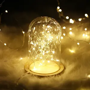 Perfect Holiday Fairy String Lights Ambient Decorative Lighting 100 LED Copper Wire Warm White Plug-In