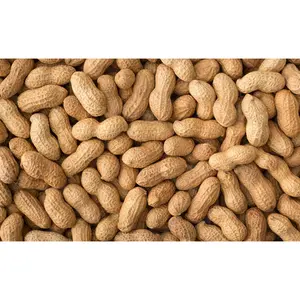 Peanut Seeds For Planting Heirloom Asian Vegetable Seeds For Planting 10 Seeds, Non GMO
