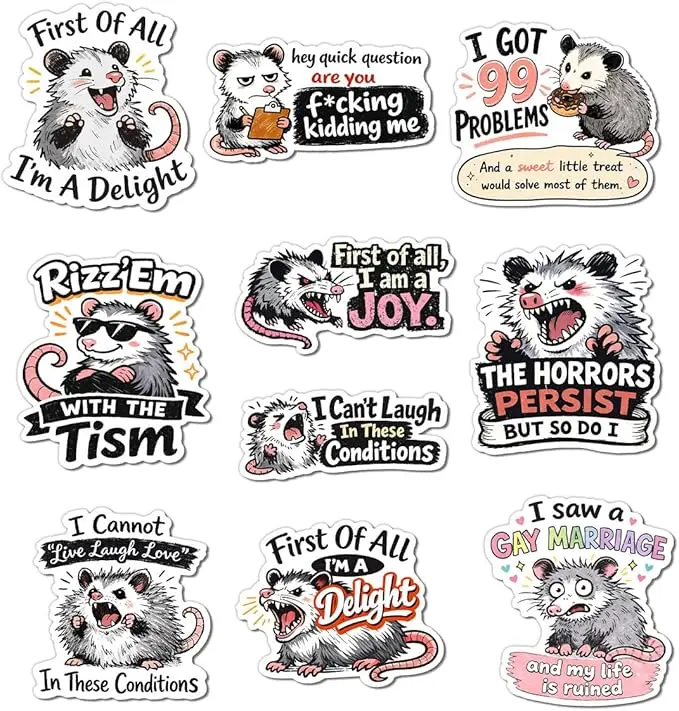 10Pcs Funny Possum Stickers Cute Cartoon Opossum Gifts Vinyl Bulk Sticker for Laptop Water Bottle Phone DIY Decal for Bumper