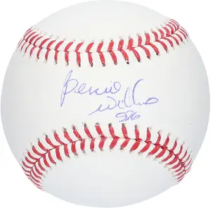 Bernie Williams New York Yankees Autographed Baseball - Fanatics Authentic Certified