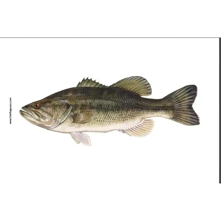 Largemouth Bass 13"x18" Micro Twill Panel with Stainless Grommets 1 Pack