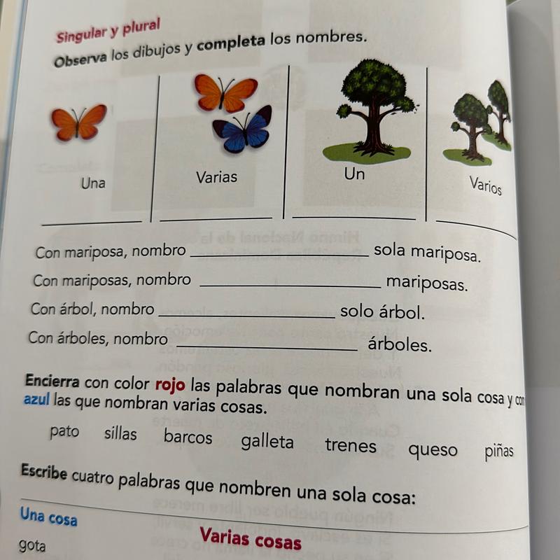 Libro Nacho Dominicano 2