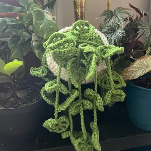 Crocheted mini monstera plant!