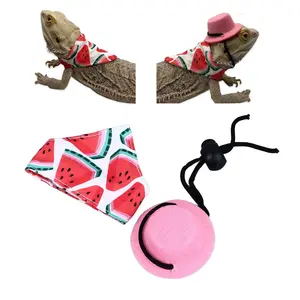 Hat & Fruit Bandana