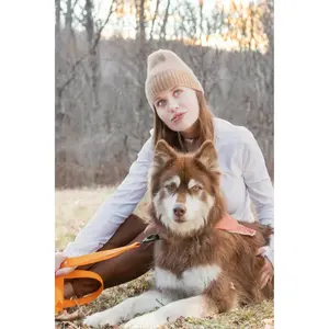 The Coastline Lead – Waterproof Leash Crimson Glow 6 ft Long 1 inch Wide Durable Nylon Core Padded Handle Heavy Duty D Ring Carabiner Clip for Dogs