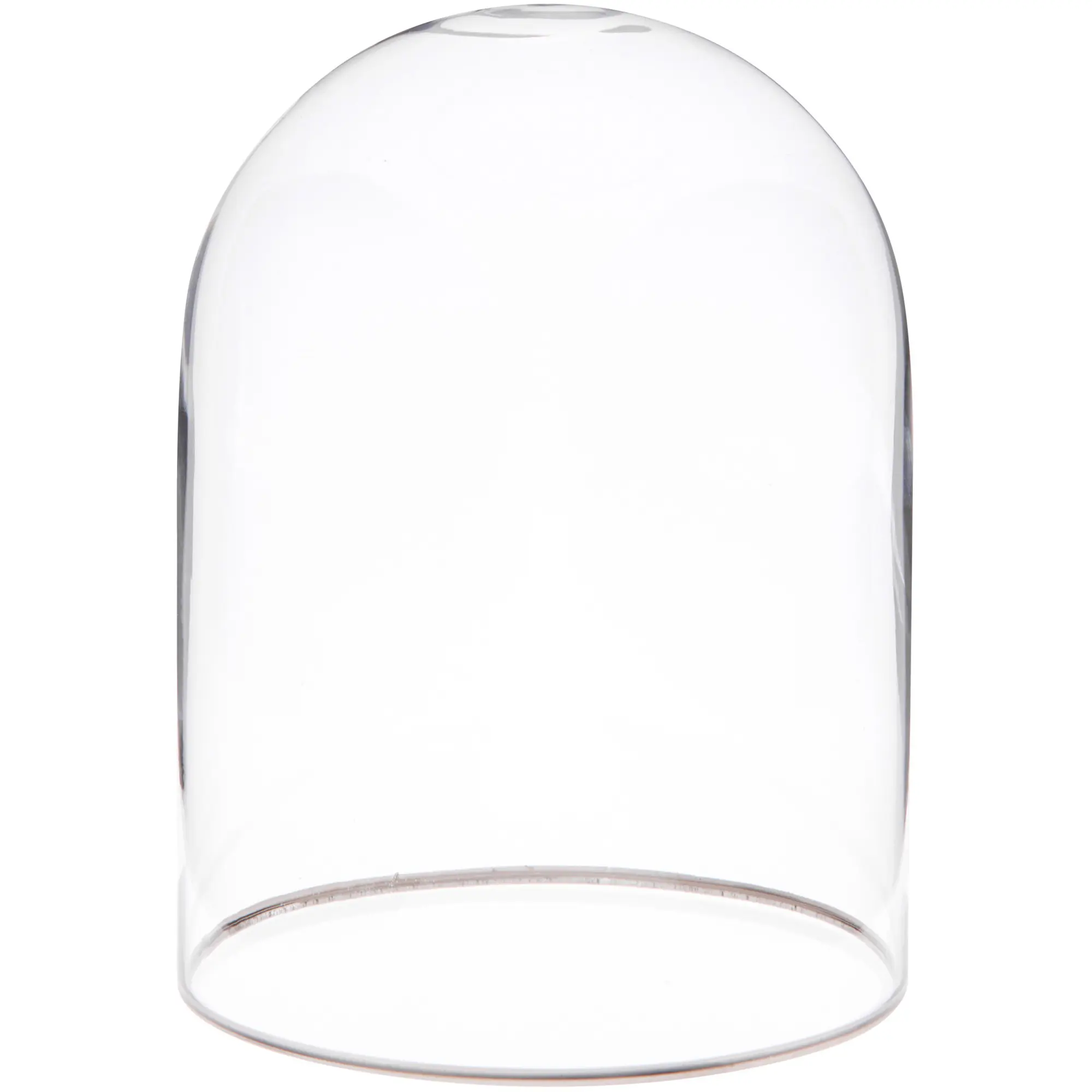 Plymor Glass Display Dome Cloche with Silver Rim (no Base)