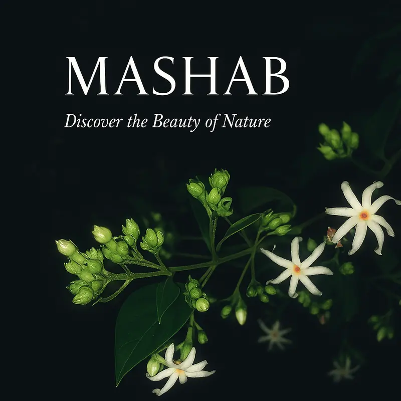 Jasmine Linen Spray 2