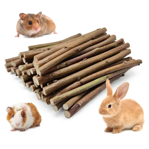 Small Animal Organic Orchard Dental Chew Sticks - 250g/8.82oz, No Pesticides, Moderate Soft and Hard, 2-in-1 Chew & Treat, Teeth Grinding Support, Recreational Fun for Bunnies